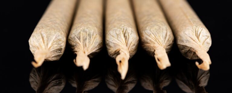 Rehab for Weed: How Marijuana Treatment Programs Can Help You Quit